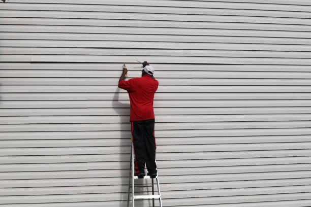 Best Custom Siding Design  in New Hyde Park, NY